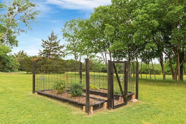 view of yard with a vegetable garden