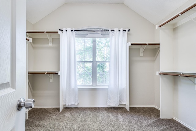 walk in closet with carpet and lofted ceiling