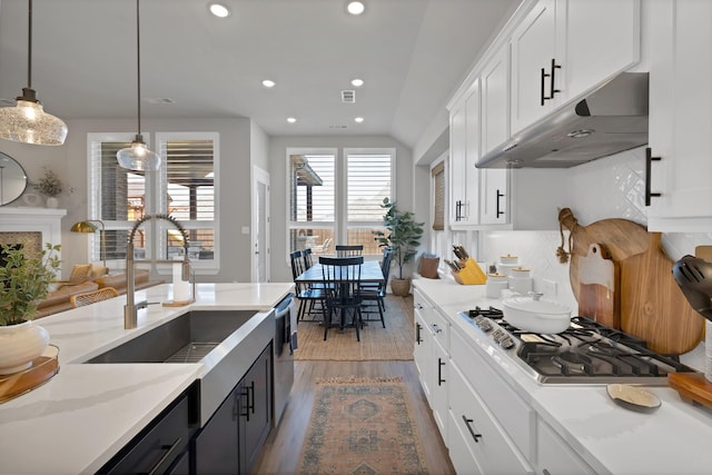 1920 Barnhill Ln, Van Alstyne, TX 75495 - kitchen featuring under cabinet range hood, stainless steel appliances, wood finished floors, white cabinetry, and a sink