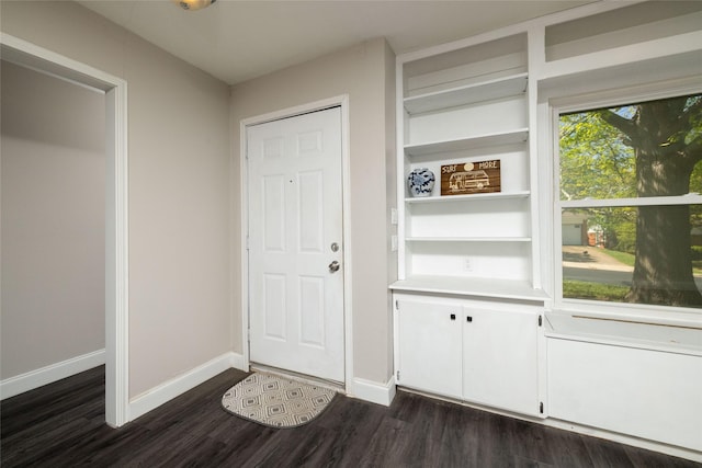 interior space featuring dark wood-type flooring and baseboards