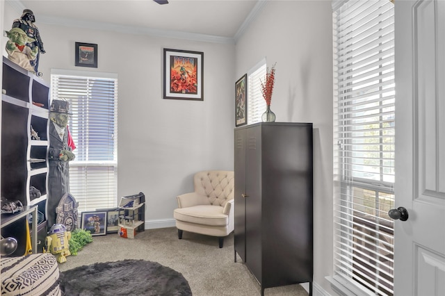 1124 Spanish Moss Dr, Savannah, TX 76227 - living area with baseboards, ornamental molding, and carpet floors