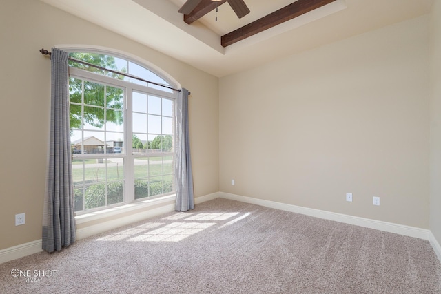 125 Mountain Meadow Dr, Tuscola, TX 79562 - empty room with a raised ceiling, carpet flooring, ceiling fan, and plenty of natural light