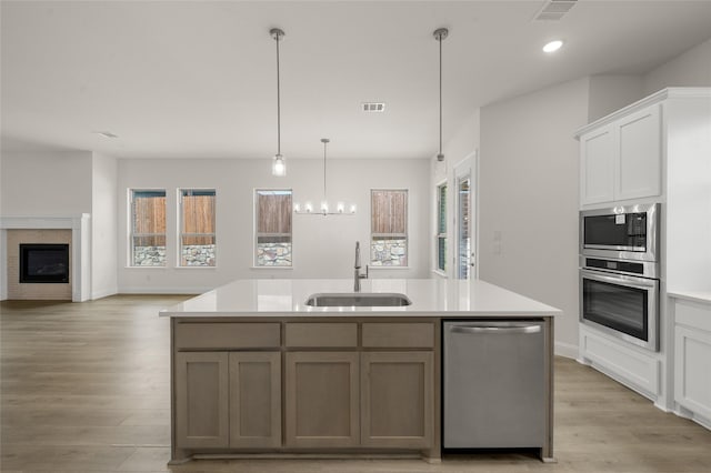 424 Lamb Ln, Waxahachie, TX 75167 - kitchen with a sink, a wealth of natural light, stainless steel appliances, and visible vents