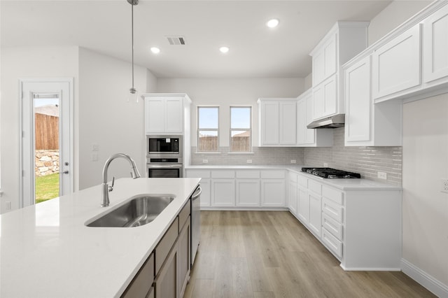 424 Lamb Ln, Waxahachie, TX 75167 - kitchen featuring a sink, under cabinet range hood, light wood-style flooring, backsplash, and appliances with stainless steel finishes