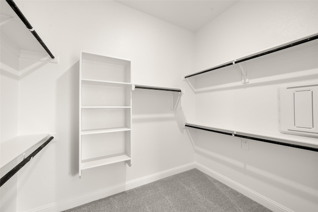 424 Lamb Ln, Waxahachie, TX 75167 - spacious closet with carpet flooring
