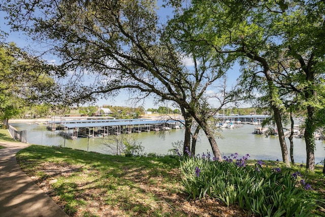 8508 Landing Way Ct, Fort Worth, TX 76179 - dock with a water view