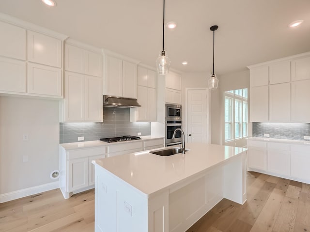 4418 Capstone Rd, Midlothian, TX 76065 - kitchen featuring stainless steel appliances, a sink, light wood finished floors, tasteful backsplash, and under cabinet range hood