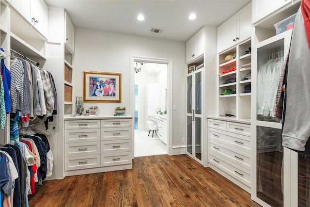 6405 Carmel Falls Ct, Mckinney, TX 75072 - walk in closet with dark wood-style flooring, visible vents, and a sink