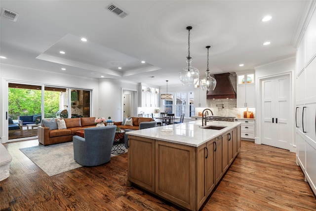 6405 Carmel Falls Ct, Mckinney, TX 75072 - kitchen with a sink, custom exhaust hood, ornamental molding, visible vents, and dark wood-style floors