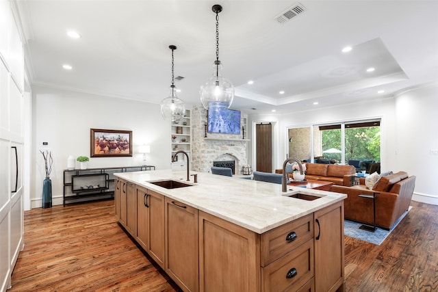 6405 Carmel Falls Ct, Mckinney, TX 75072 - kitchen featuring a sink, wood finished floors, open floor plan, and a fireplace