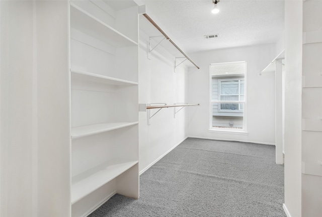 spacious closet with visible vents and carpet