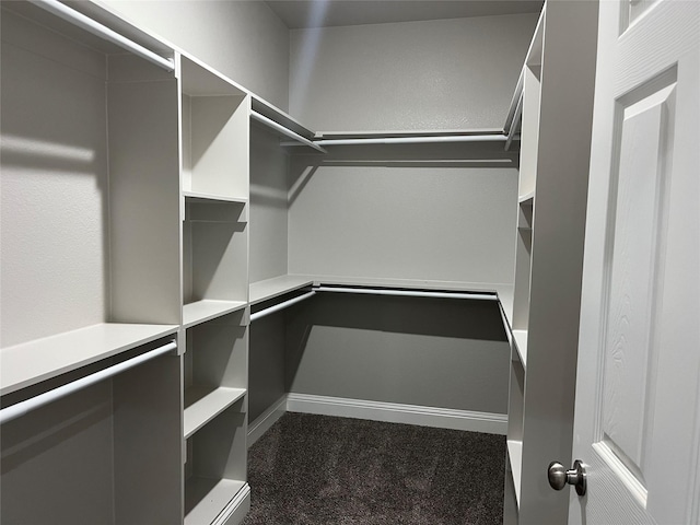 walk in closet featuring dark carpet