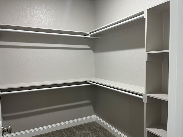 spacious closet featuring carpet floors