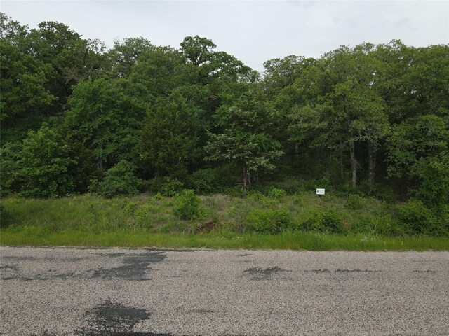 LOT92 County Road 2255, Valley View, TX 76272