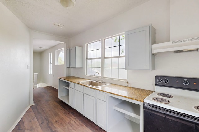 2311 Market Ave, Fort Worth, TX 76164 - kitchen with dark wood-style flooring, open shelves, under cabinet range hood, a sink, and white range with electric cooktop