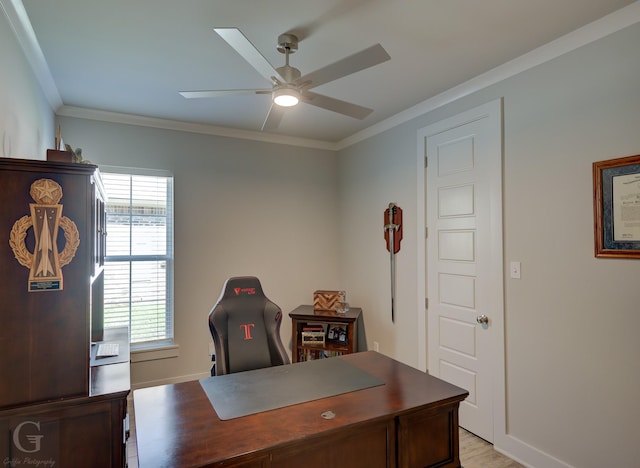 262 Poydras Ave, Bossier City, LA 71111 - home office featuring light wood-style floors, baseboards, a ceiling fan, and ornamental molding