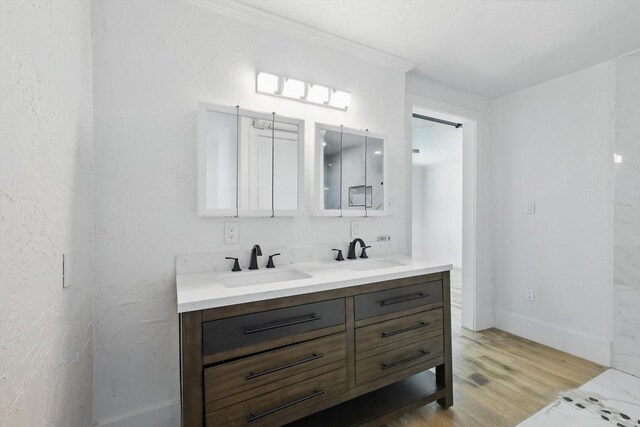 bathroom featuring wood finished floors, double vanity, ornamental molding, and baseboards