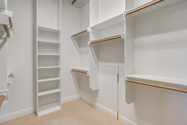 spacious closet featuring light carpet