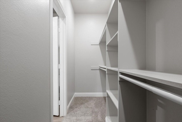 walk in closet featuring light colored carpet
