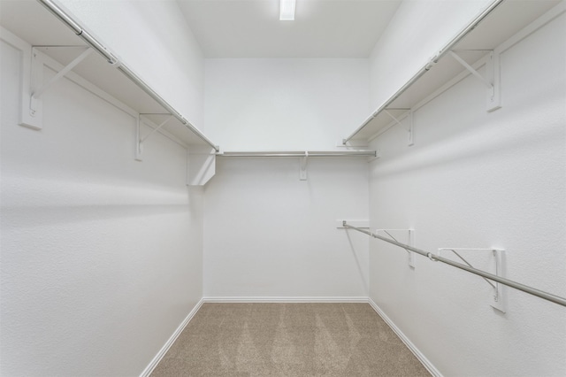 5208 Birchwood Dr, Mckinney, TX 75071 - spacious closet with light colored carpet