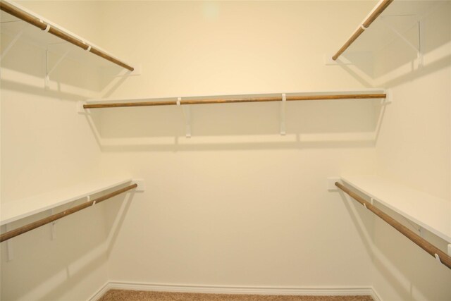 spacious closet featuring carpet