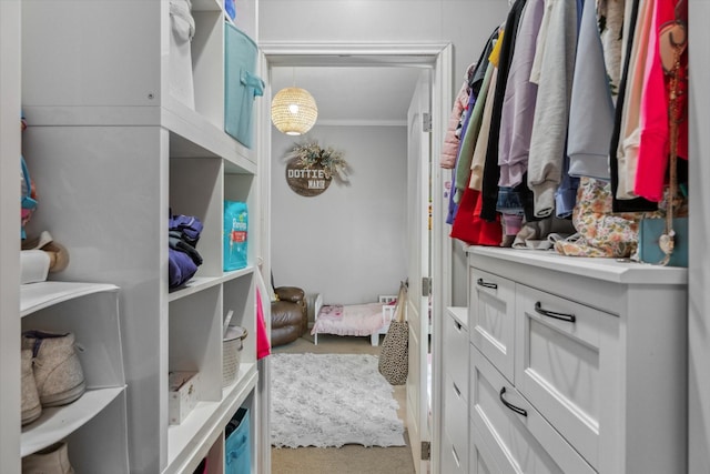 spacious closet with carpet floors