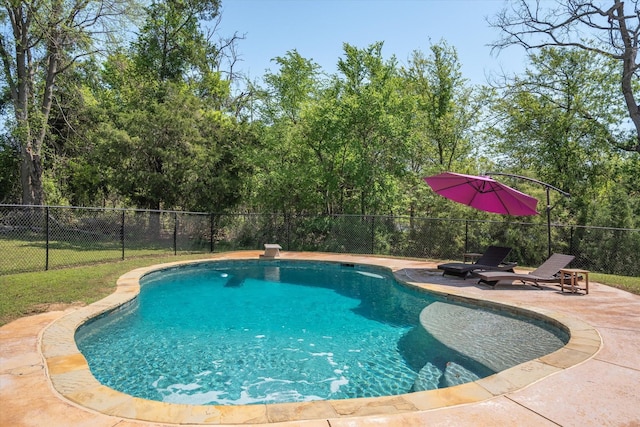 view of swimming pool with fence, a fenced in pool, and a patio area