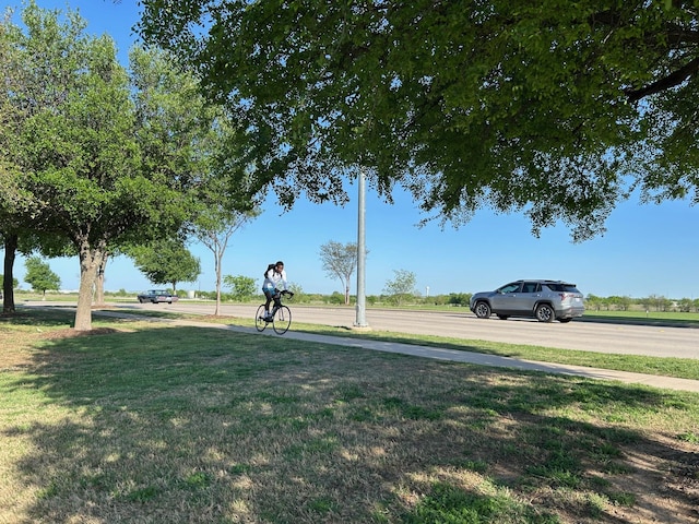 345 Wishbone Ln, Fort Worth, TX 76052 - view of yard