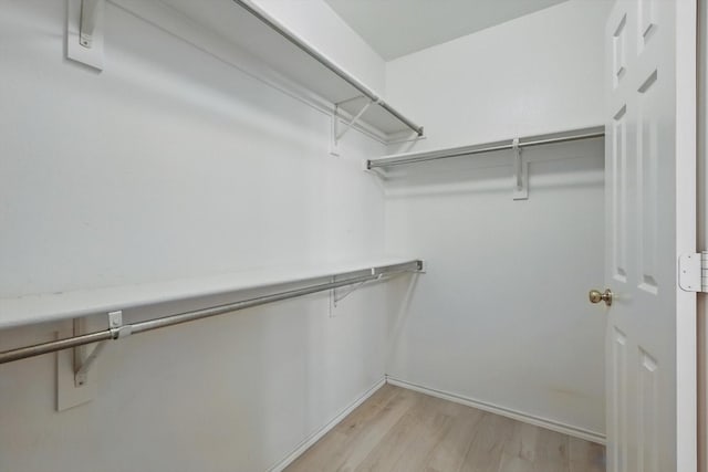 walk in closet with light wood finished floors