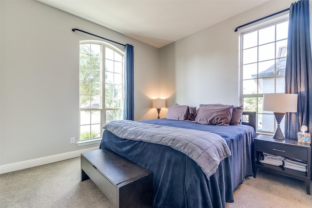 8321 Burnley, The Colony, TX 75056 - bedroom with multiple windows, light carpet, and baseboards