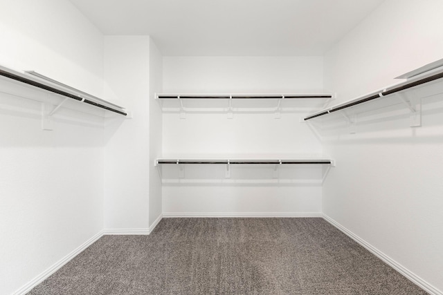 141 York Bridge Rd, Springtown, TX 76082 - walk in closet featuring carpet floors