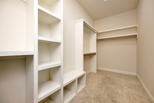 2312 Royce Dr, Arlington, TX 76016 - walk in closet featuring carpet floors
