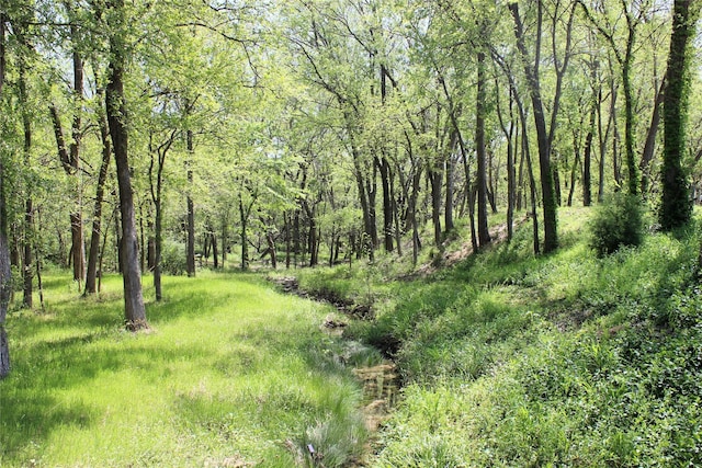 view of landscape featuring a forest view