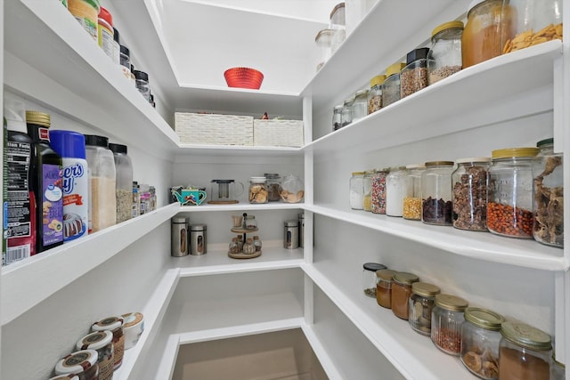 336 Avila Ln, Fort Worth, TX 76052 - view of storage area