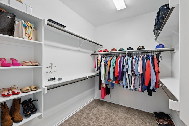 336 Avila Ln, Fort Worth, TX 76052 - spacious closet with carpet flooring