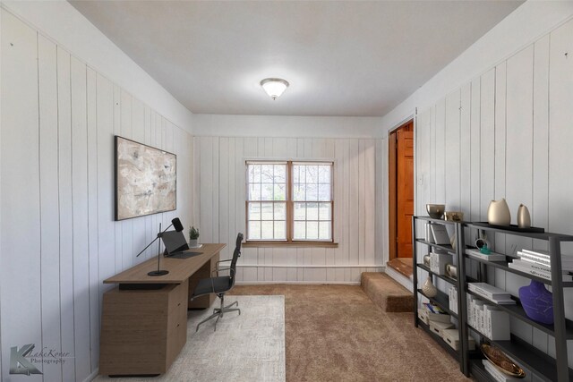 509 Reeves St, Clyde, TX 79510 - spare room featuring recessed lighting, wood walls, light carpet, ceiling fan, and baseboards