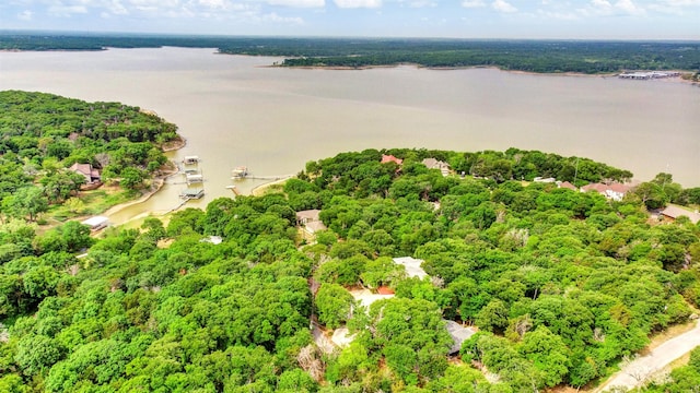 birds eye view of property with a water view and a view of trees