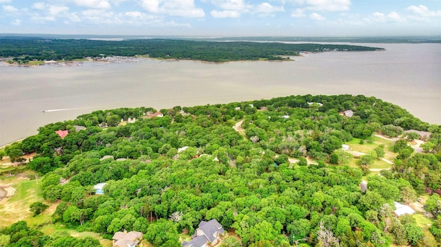 birds eye view of property with a view of trees and a water view