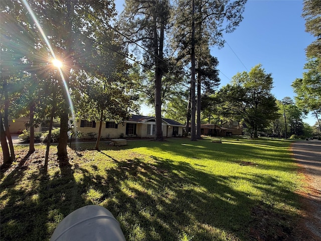 view of yard