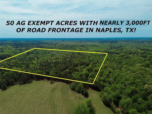 0 County Road 2742, Naples, TX 75568