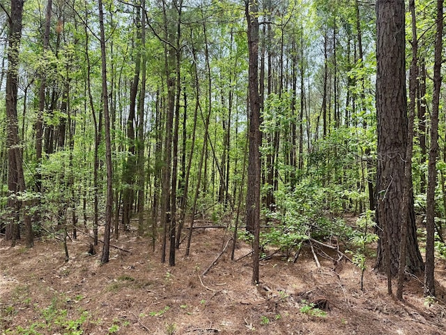 0 County Road 2742, Naples, TX 75568