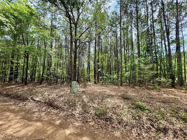 0 County Road 2742, Naples, TX 75568