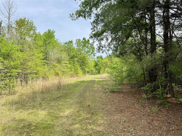 0 County Road 2742, Naples, TX 75568