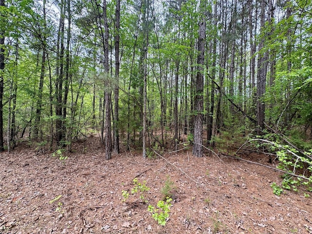 0 County Road 2742, Naples, TX 75568