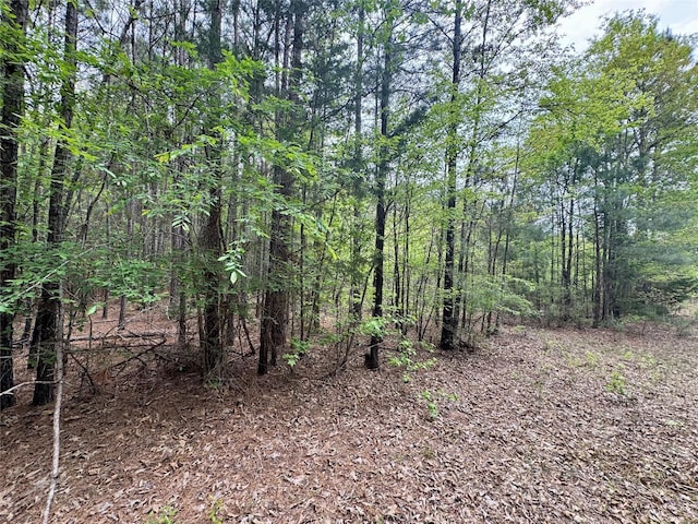 0 County Road 2742, Naples, TX 75568