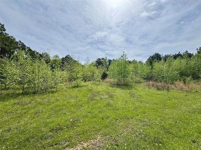 0 County Road 2742, Naples, TX 75568