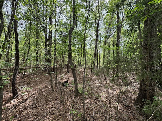 0 County Road 2742, Naples, TX 75568