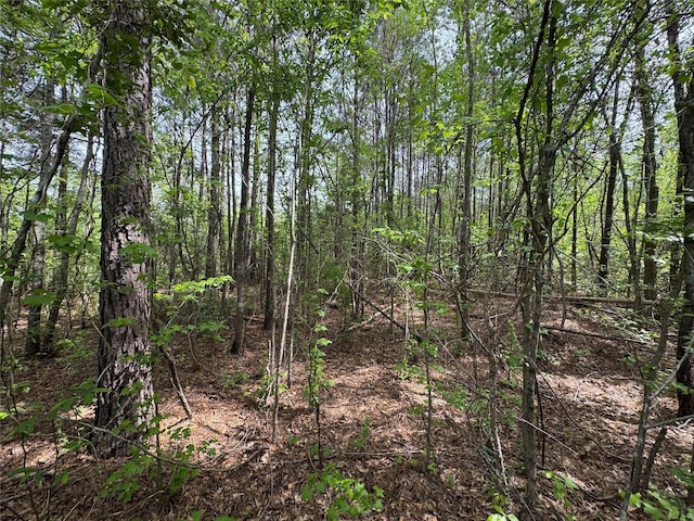 0 County Road 2742, Naples, TX 75568