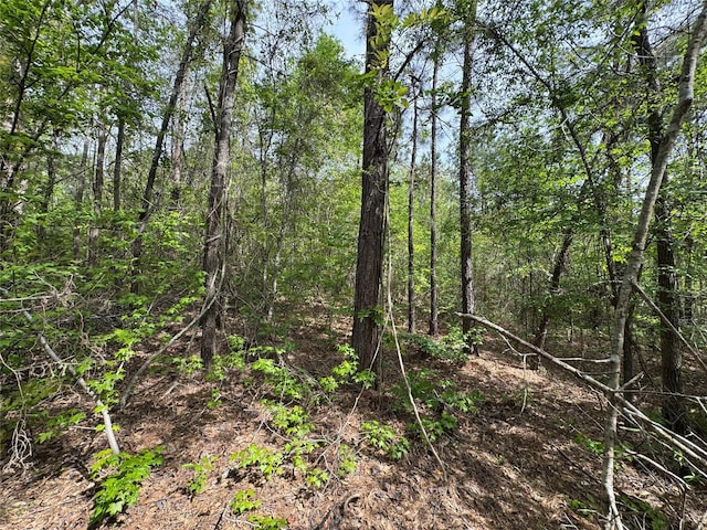 0 County Road 2742, Naples, TX 75568