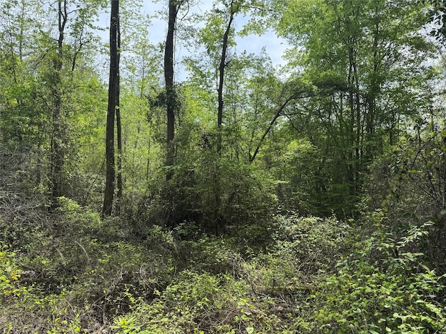 0 County Road 2742, Naples, TX 75568